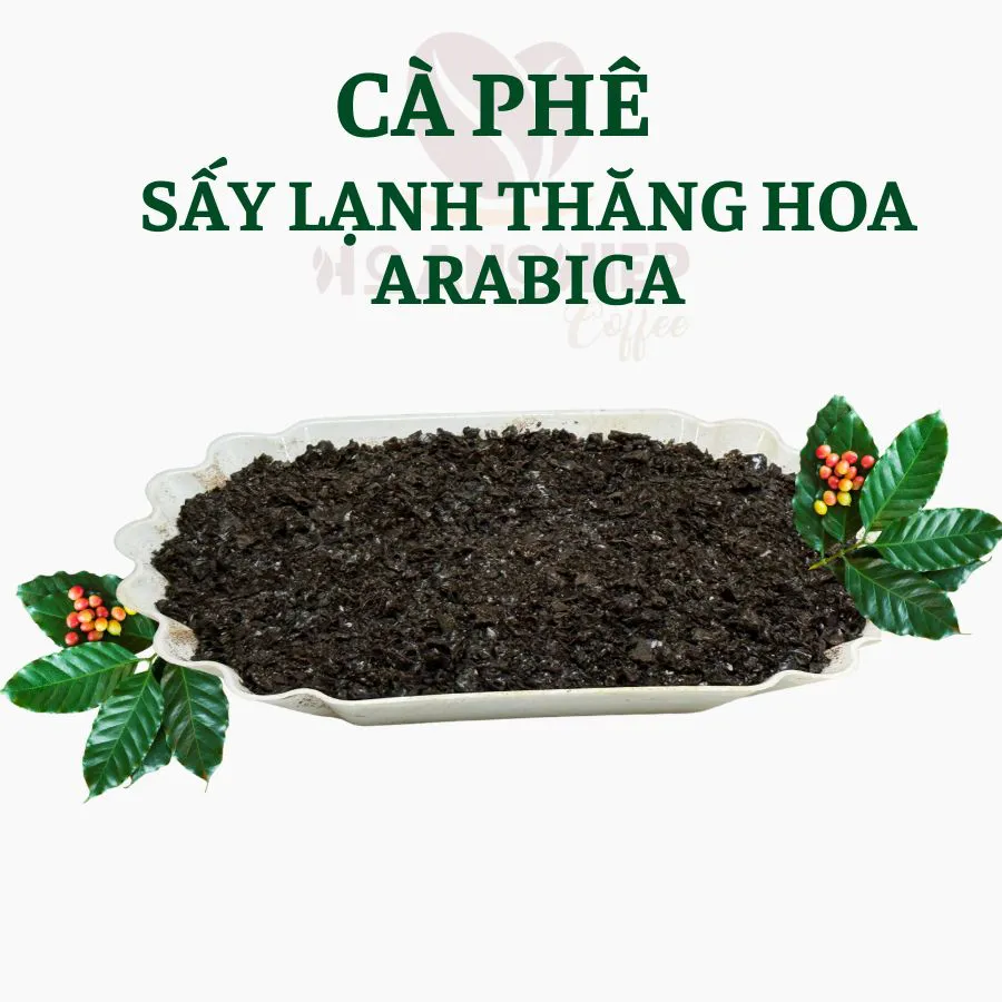 Cách bảo quản cà phê Arabica sấy lạnh thăng hoa để giữ trọn hương vị