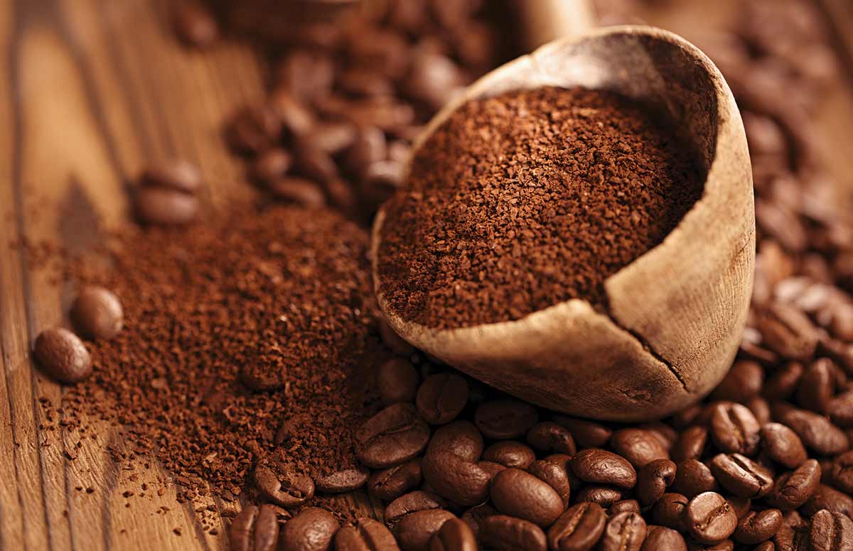 Cà phê bột robusta là gì? đặc điểm, hương vị và cách nhận biết chuẩn