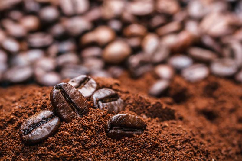 Cà phê bột Robusta là gì? Đặc điểm và hương vị riêng biệt