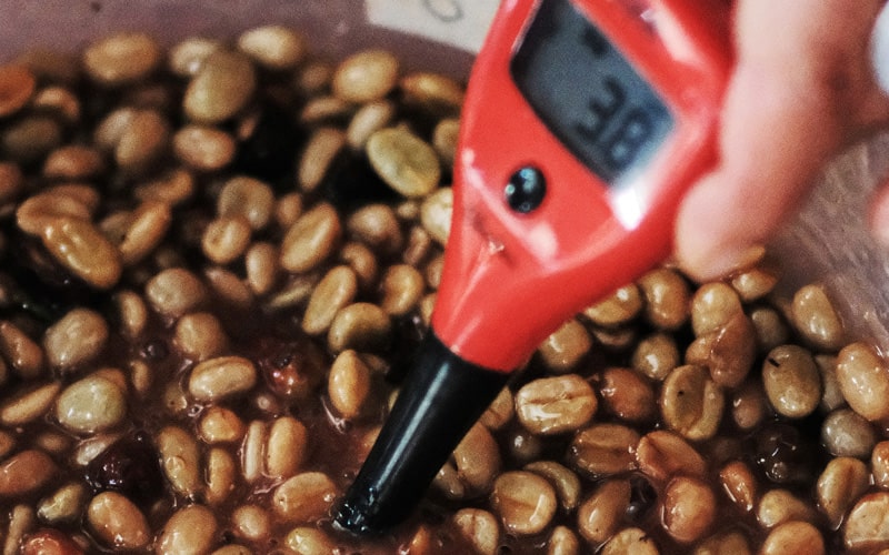 Cà phê lên men – Xu hướng mới trong ngành cà phê