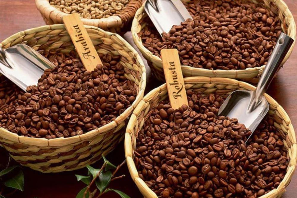 Cà phê Robusta có thật sự kém chất lượng hơn Arabica không?