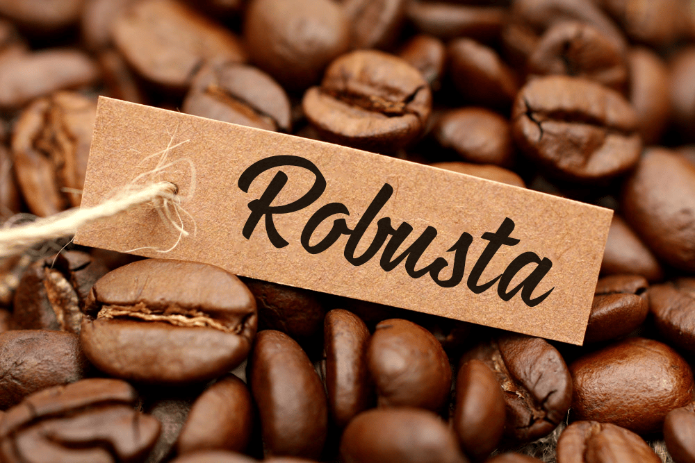 Cafe robusta
