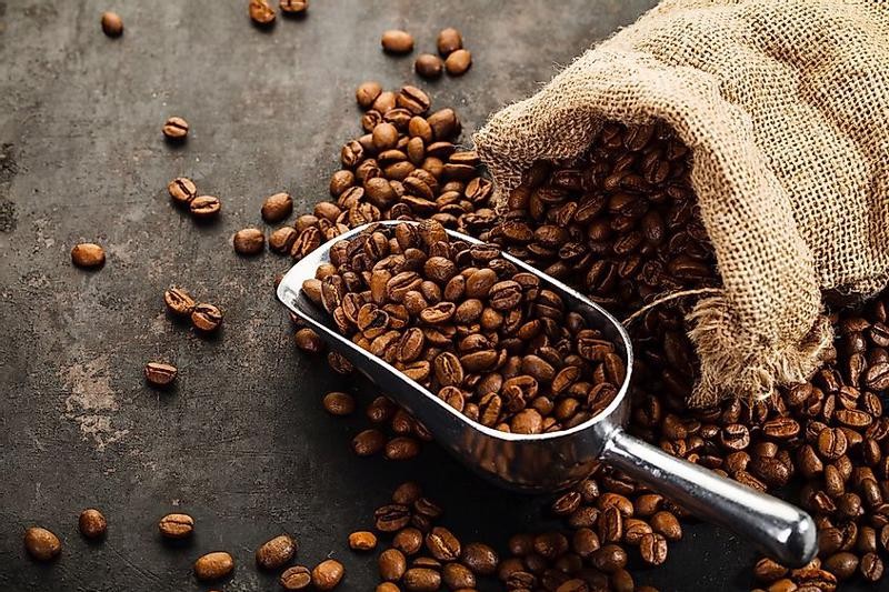 Cà phê Robusta rang mộc là gì? Tại sao người Việt ưa chuộng đến vậy?
