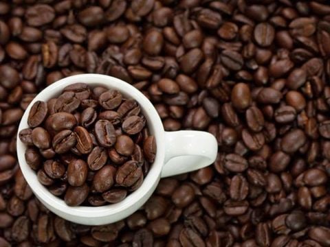 Cà phê Robusta rang mộc là gì? Tại sao người Việt ưa chuộng đến vậy?