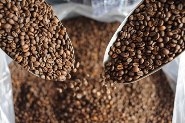 Cà phê sạch là gì? Làm sao để nhận biết?