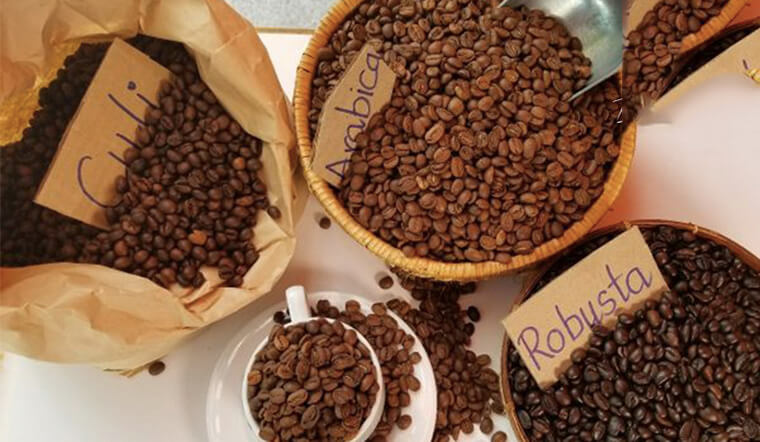 Cách bảo quản hạt cà phê