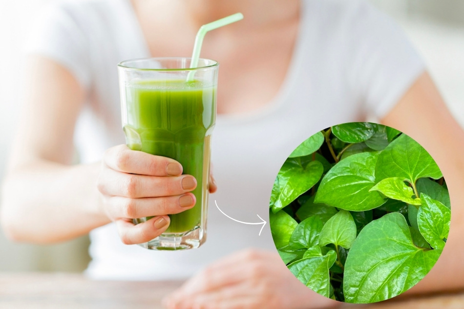 Cách làm nước ép rau diếp cá