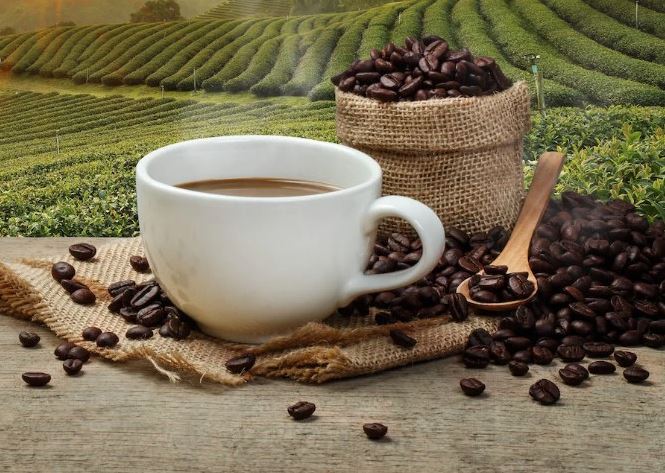 Cách pha cà phê hữu cơ đúng chuẩn để giữ trọn hương vị tự nhiên