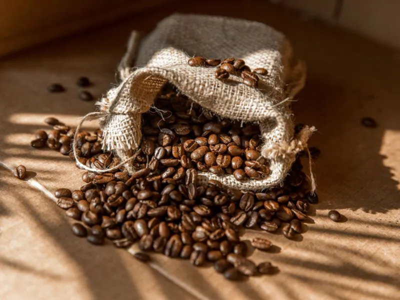 Cách bảo quản cà phê hạt pha máy để luôn giữ được hương vị tươi mới