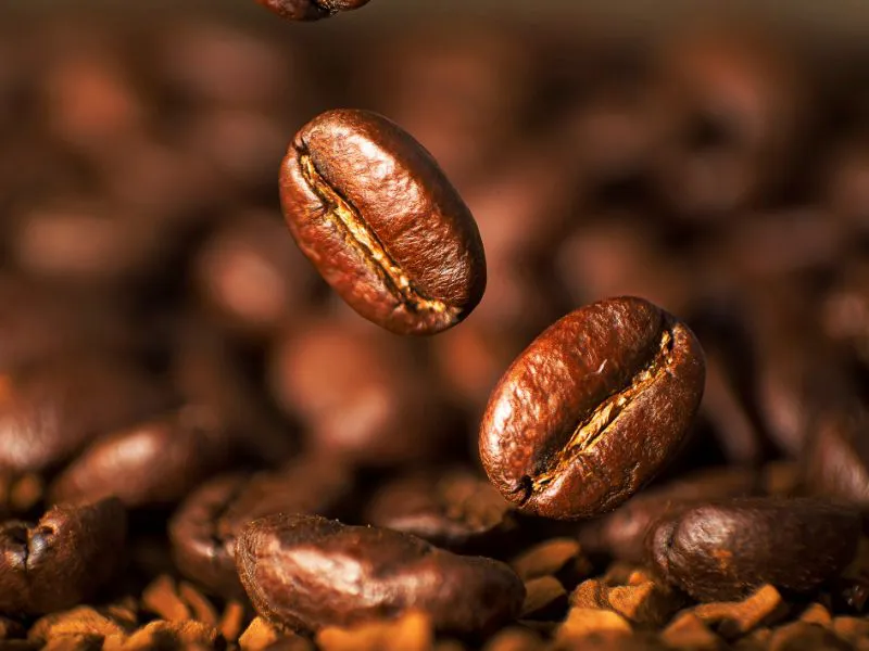 Cách bảo quản cà phê hạt pha máy để luôn giữ được hương vị tươi mới