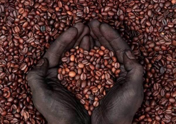 Khám phá các loại cà phê nguyên hạt nổi tiếng trên thế giới