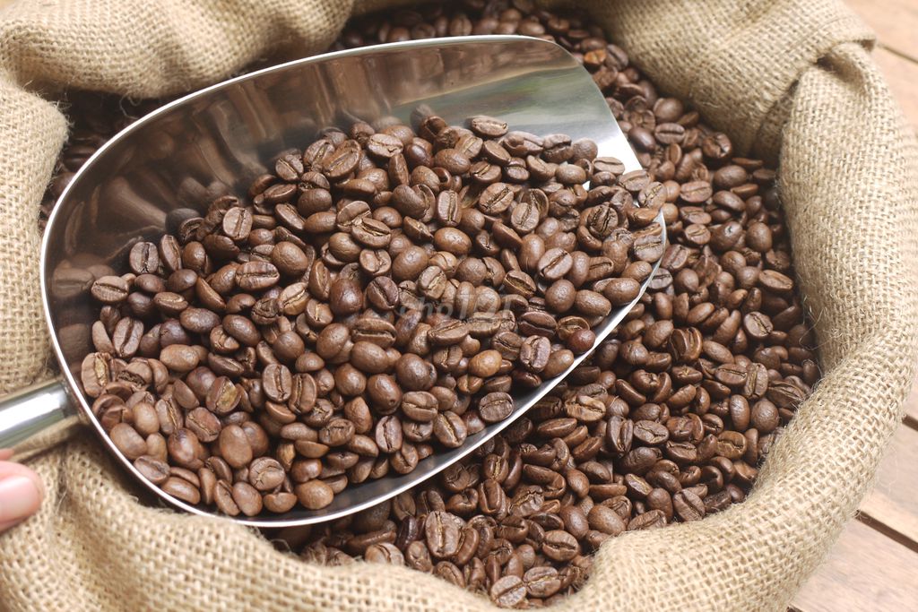 Kinh nghiệm mua cà phê hạt pha máy ngon – sạch – giá tốt