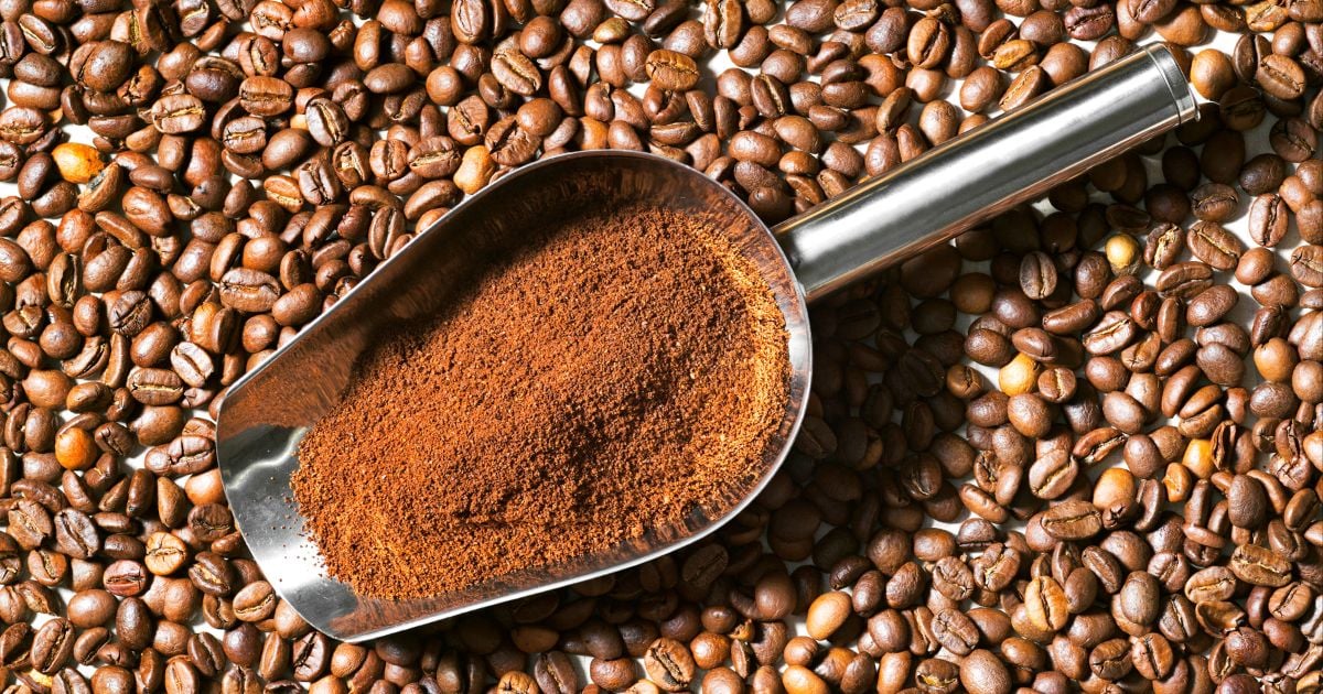 Làm sao để phân biệt cà phê nguyên chất và cà phê pha tạp?