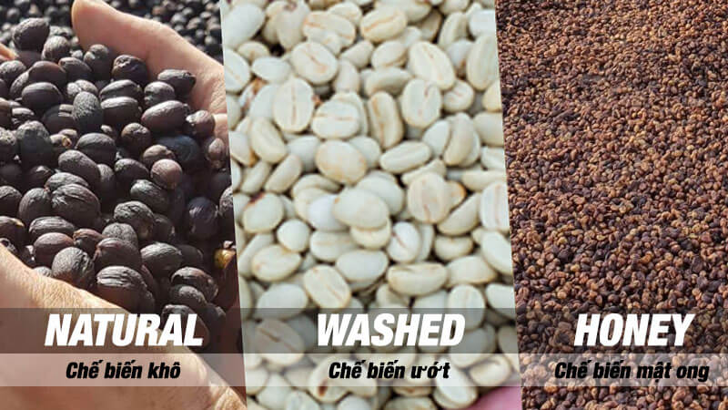 phương pháp chế biến hạt cafe