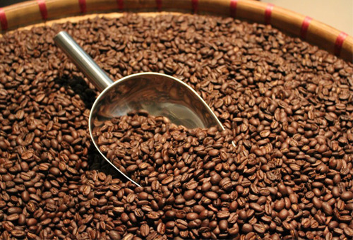 Tại sao nên chọn cà phê nguyên hạt thay vì cà phê xay sẵn