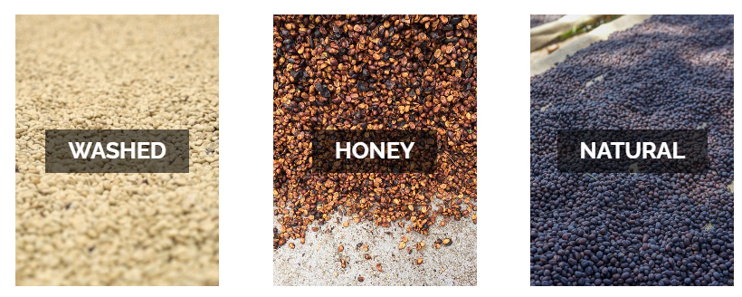 Vì sao cà phê có vị chua và cách xử lý