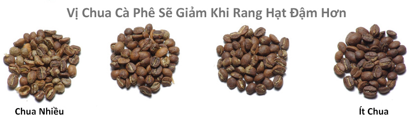 Vì sao cà phê có vị chua và cách xử lý