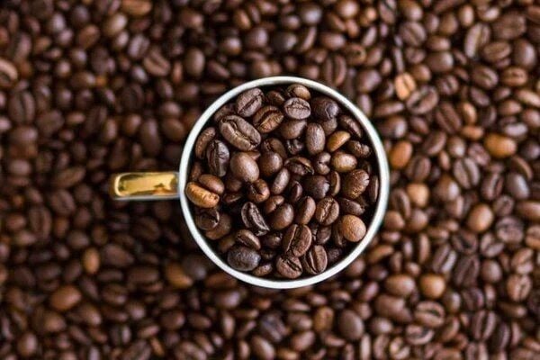 Xu hướng sử dụng cà phê robusta trong thị trường hiện nay