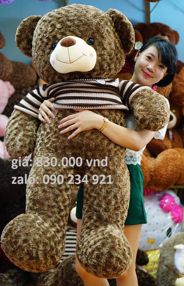 gau-bong-teddy-to-dep-gia-re-ban-gai-thich-tai-tphcm