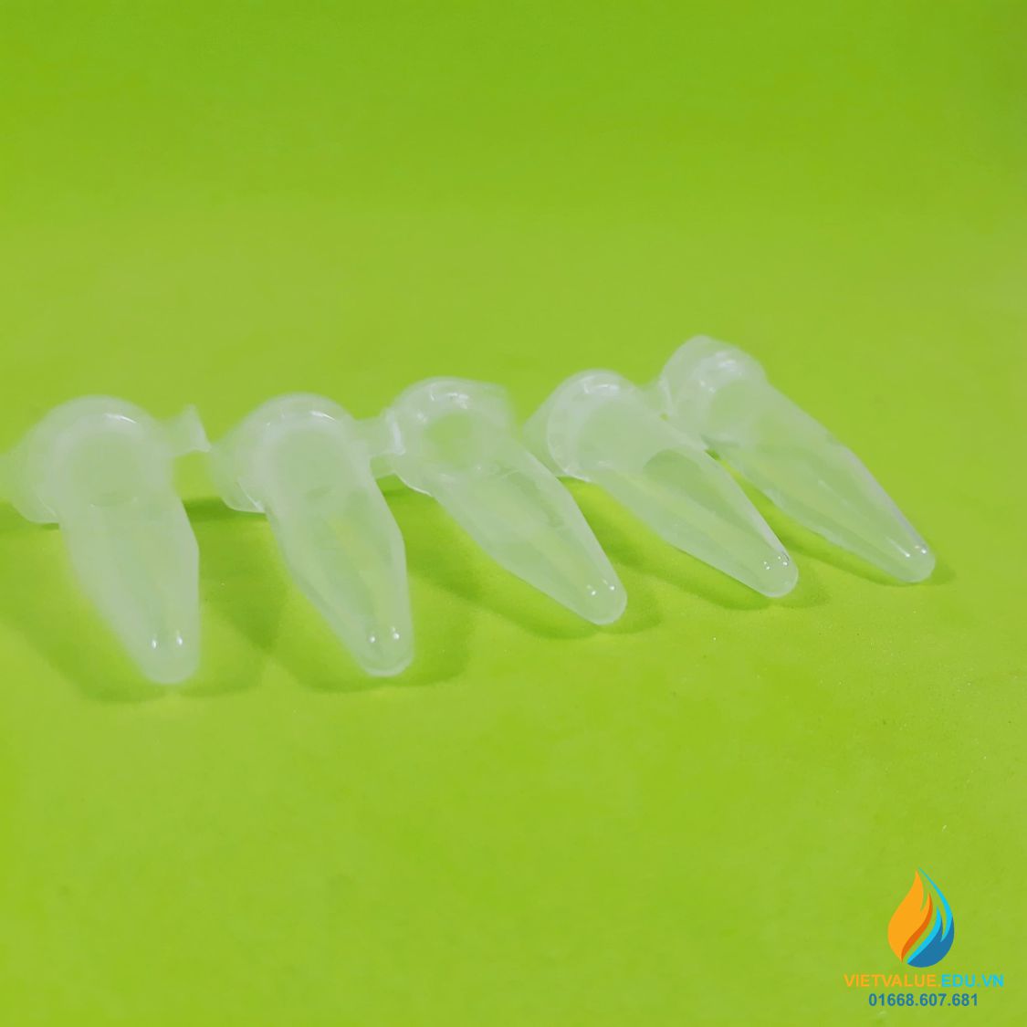 50 cái đầu đạn lưu mẫu 0.5ml, nhựa PP trong suốt, đáy nhọn, nắp chặt