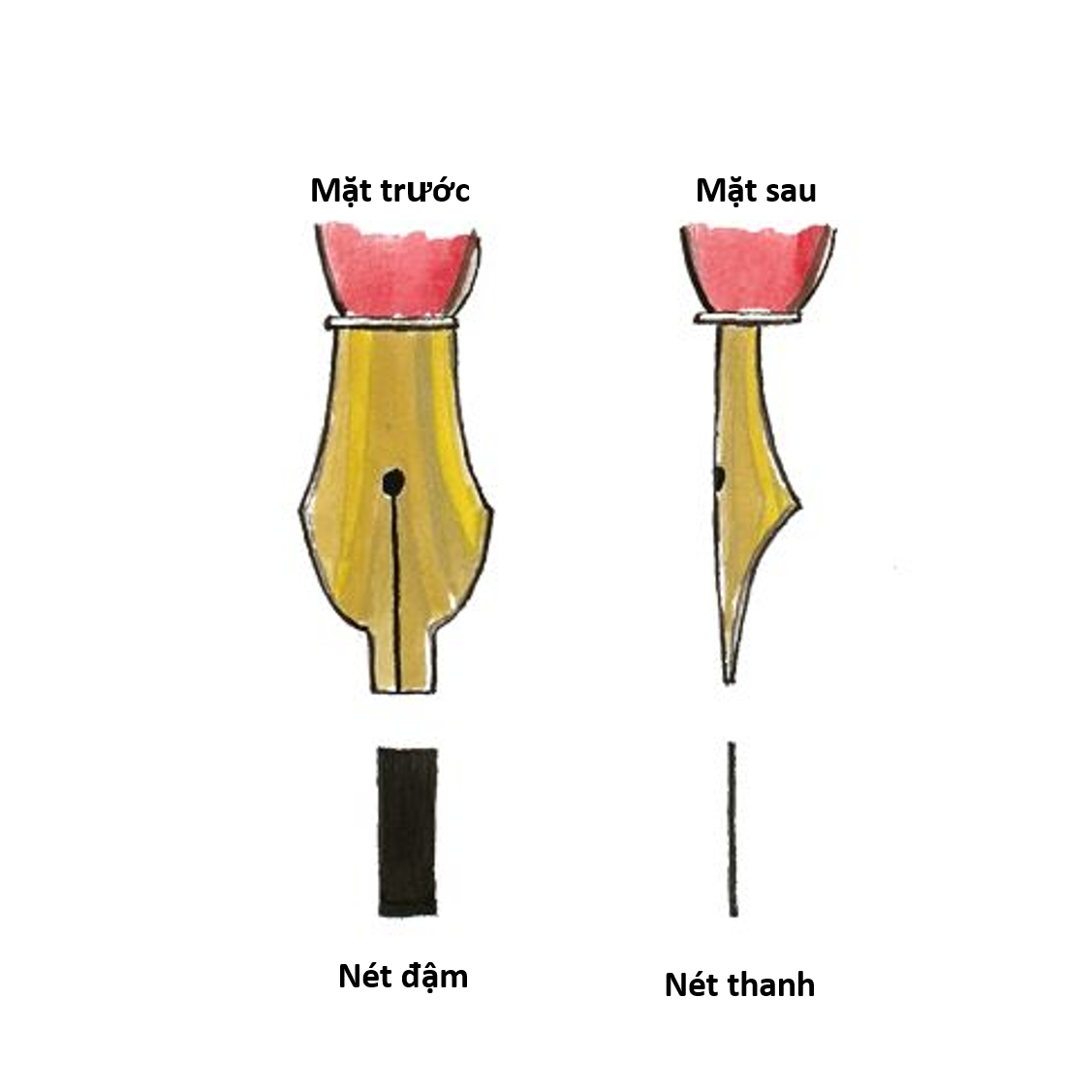 Cách viết chữ nghệ thuật Callygraphy