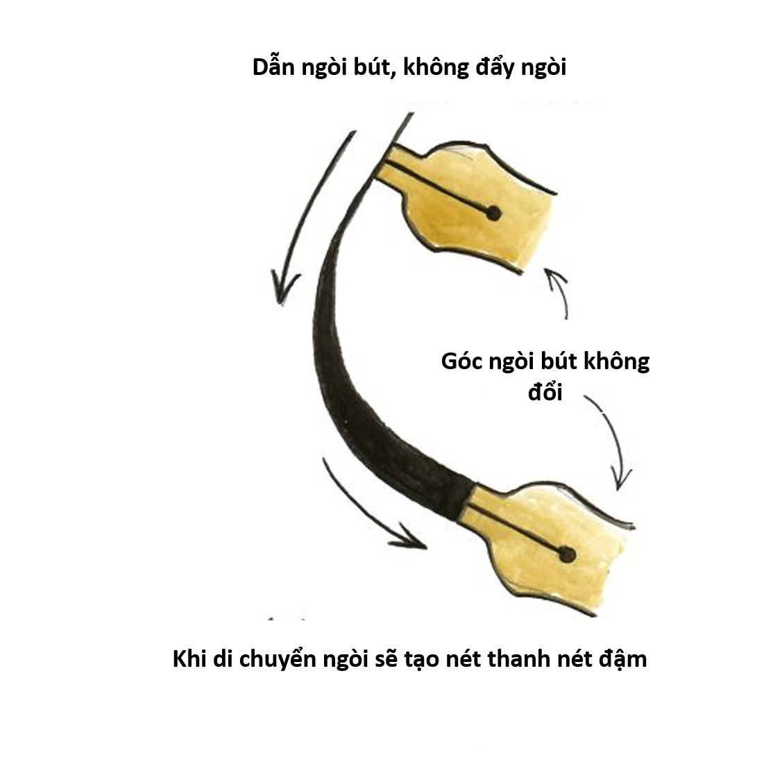 Cách viết chữ nghệ thuật Callygraphy