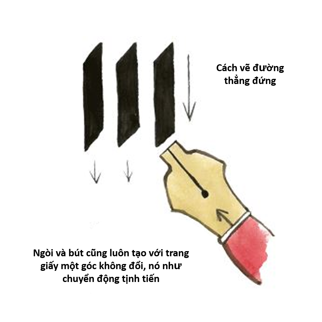 Cách viết chữ nghệ thuật Callygraphy