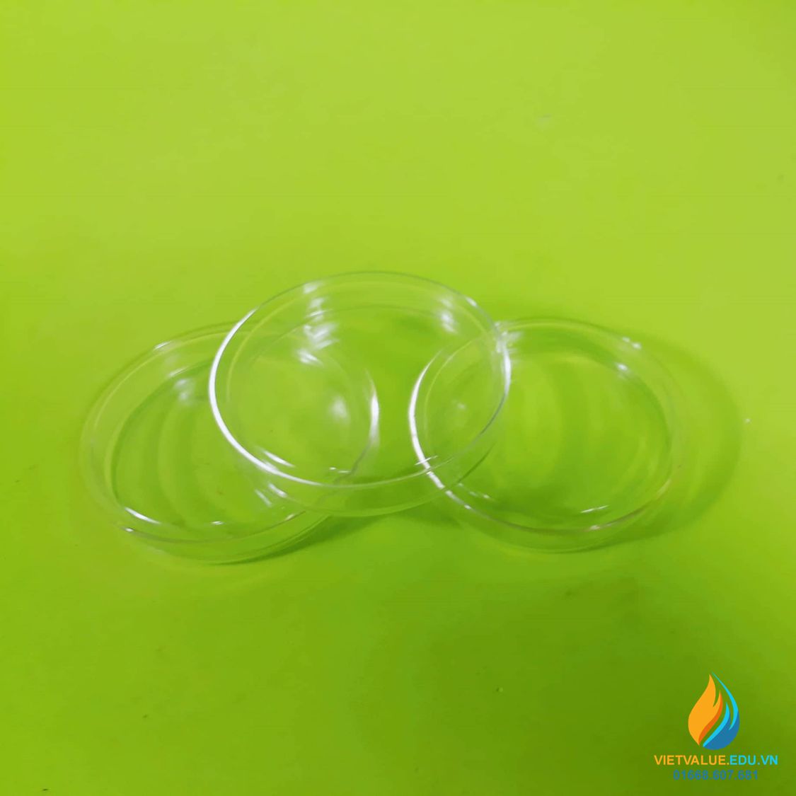 Đĩa petri nhựa (Petri Dish) đường kính 90mm