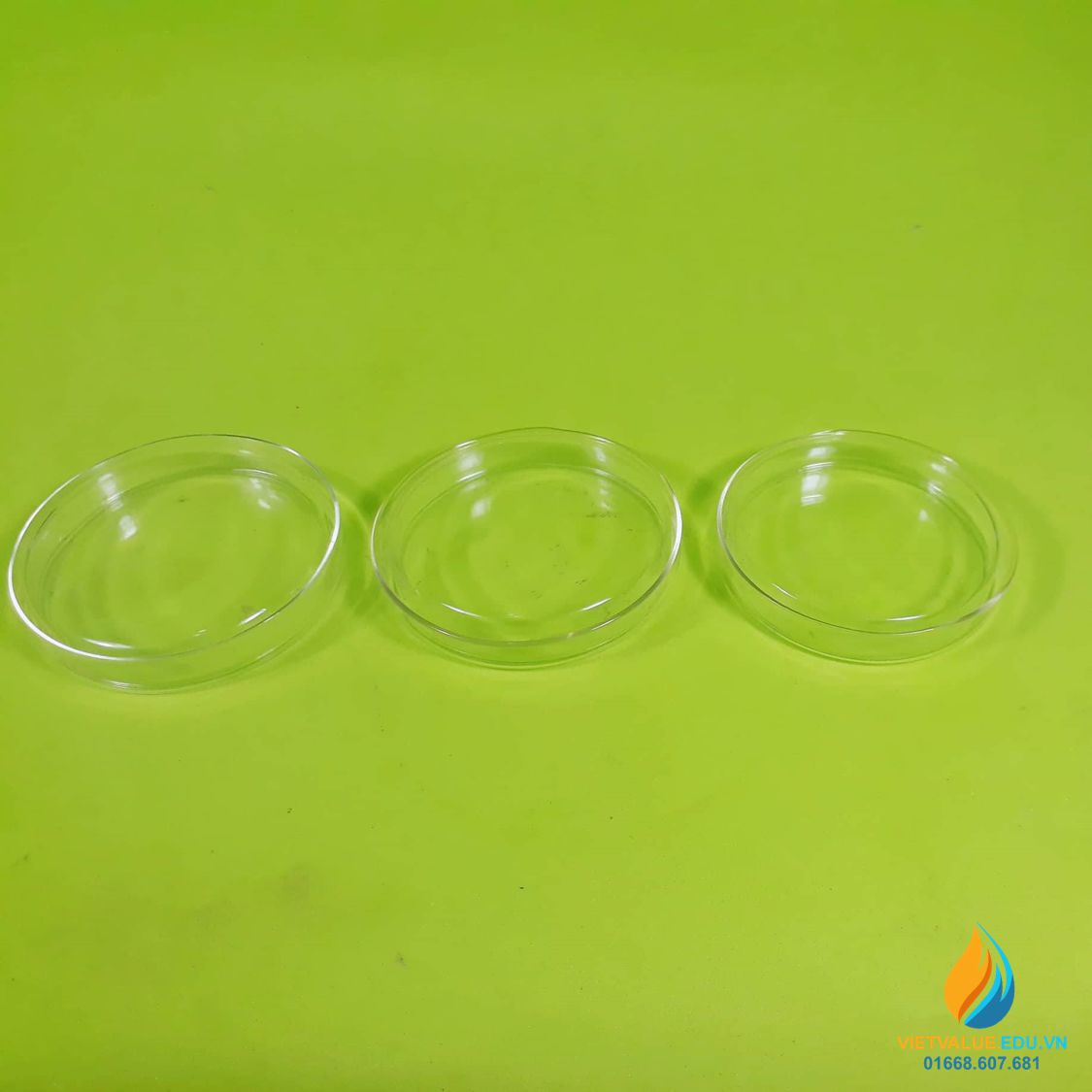 Đĩa petri nhựa (Petri Dish) đường kính 60mm