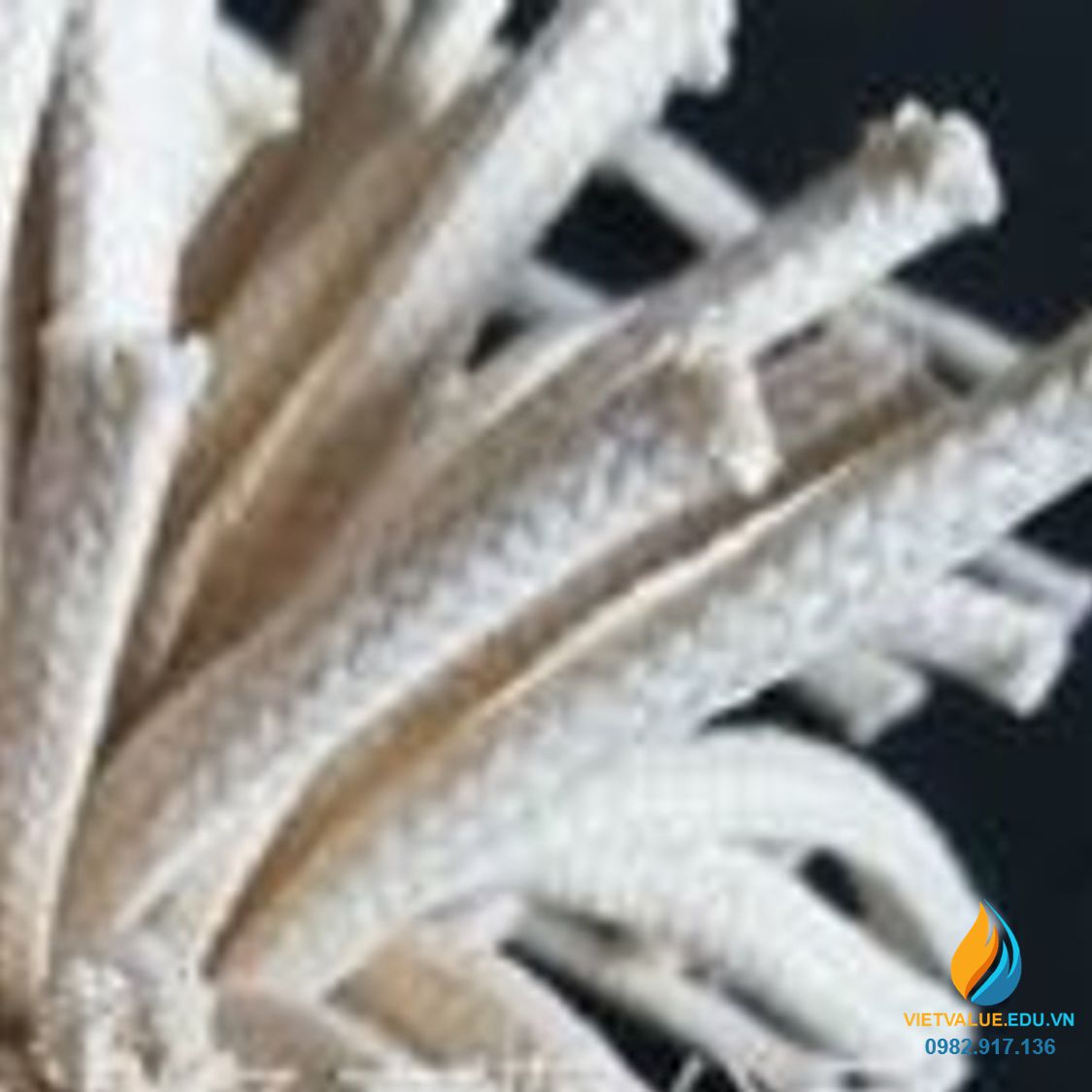 10 chiếc bấc đốt đèn cồn dài 15 cm