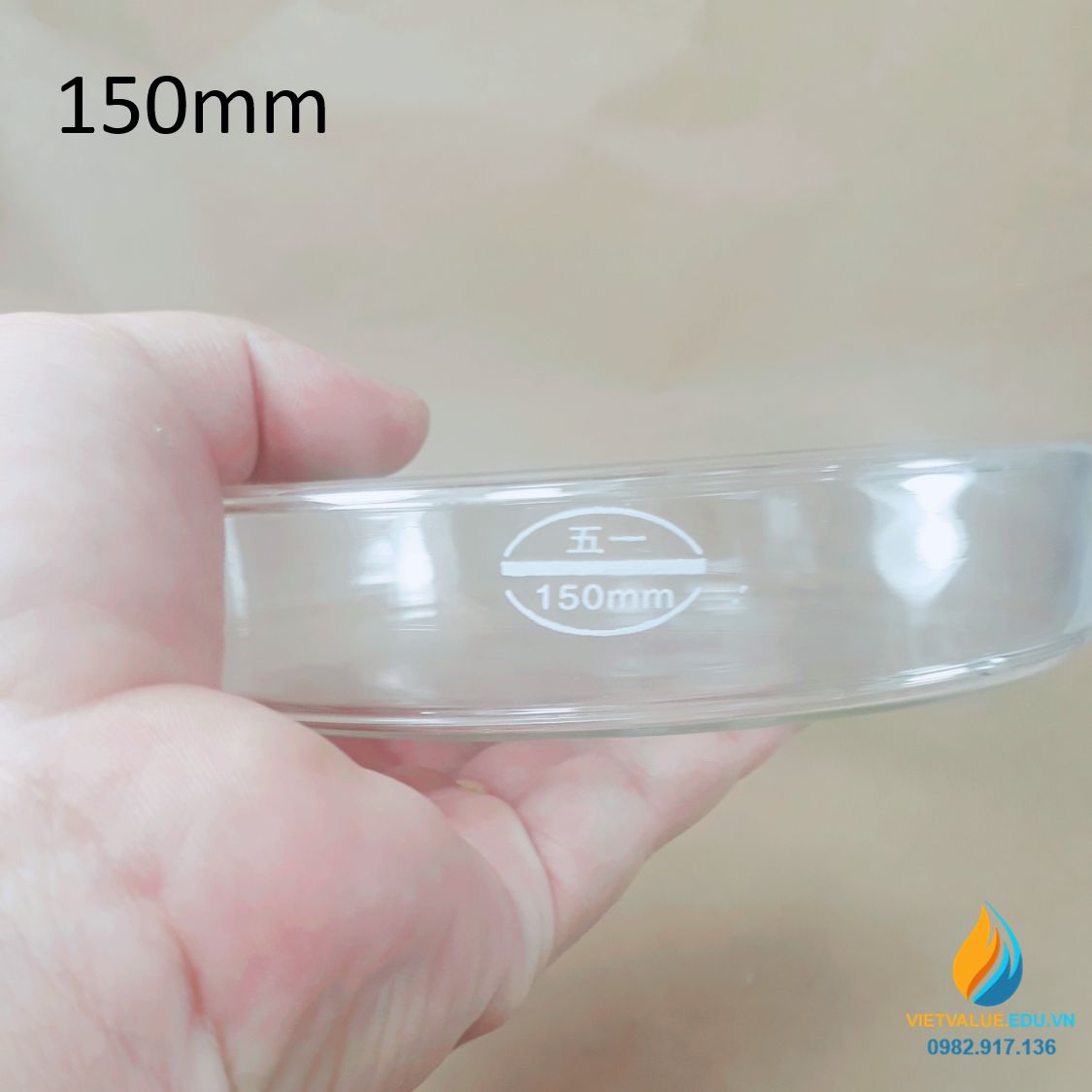 Hộp lồng, đĩa peptri thủy tinh, đường kính đĩa petri 150mm, đĩa nuôi cấy