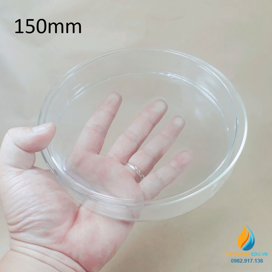 Hộp lồng, đĩa peptri thủy tinh, đường kính đĩa petri 150mm, đĩa nuôi cấy