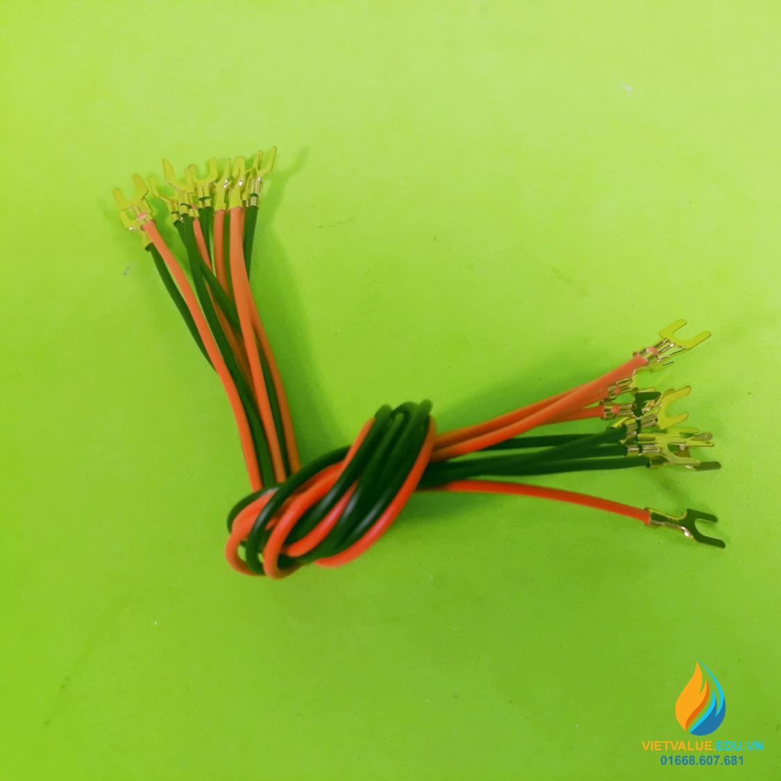 Dây điện nối mạch, hai đầu nối mạch 2 ngón, dài 20cm