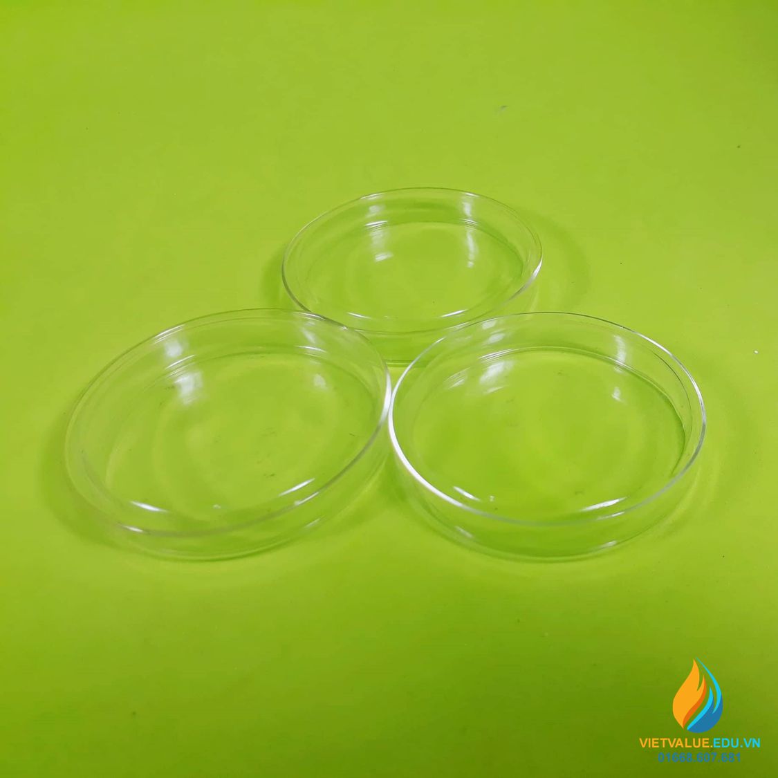 Đĩa petri nhựa (Petri Dish) đường kính 75mm