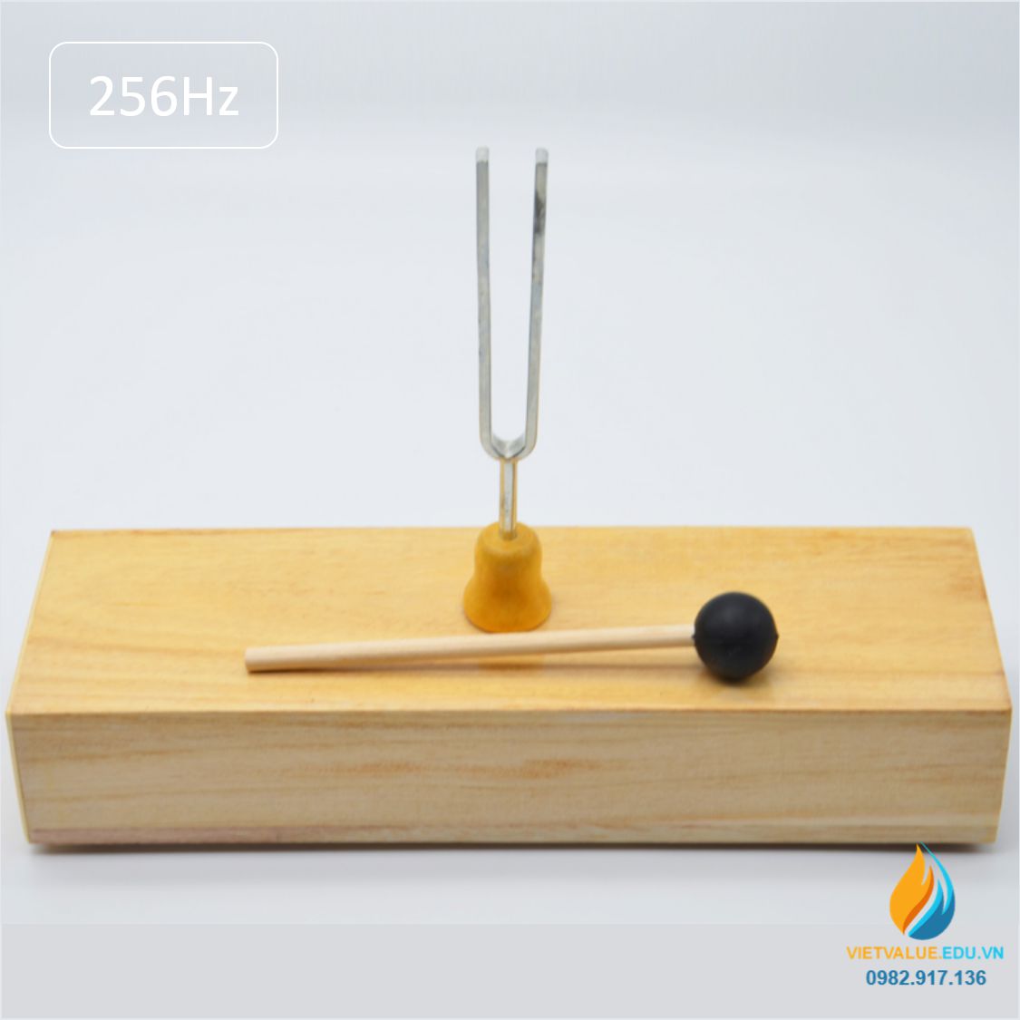 Âm thoa dao động tạo tần số 256Hz, âm thoa vật lý gồm búa cao su đi kèm