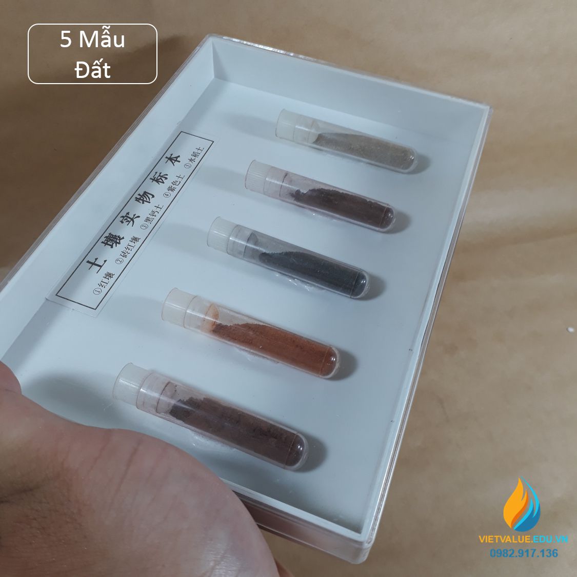 Mẫu vật đất 49008 mẫu đất chứa Canxi, mẫu vật giảng dạy khoa học giáo dục