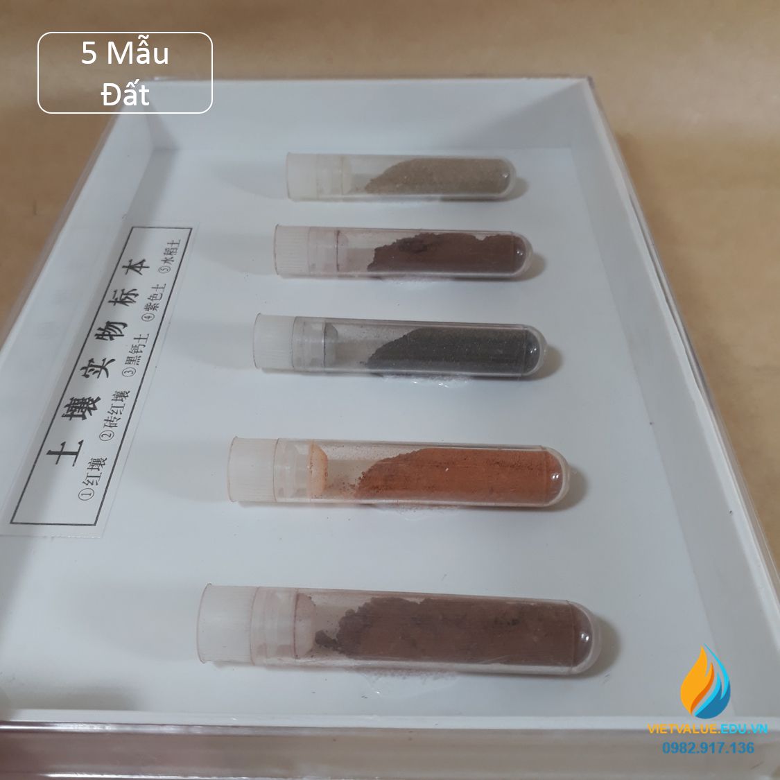 Mẫu vật đất 49008 mẫu đất chứa Canxi, mẫu vật giảng dạy khoa học giáo dục