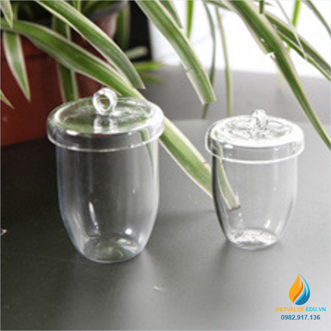 Chén nung thạch anh 100ml, chịu nhiệt 1200 độ C, chén nung kim loại bằng thạch anh