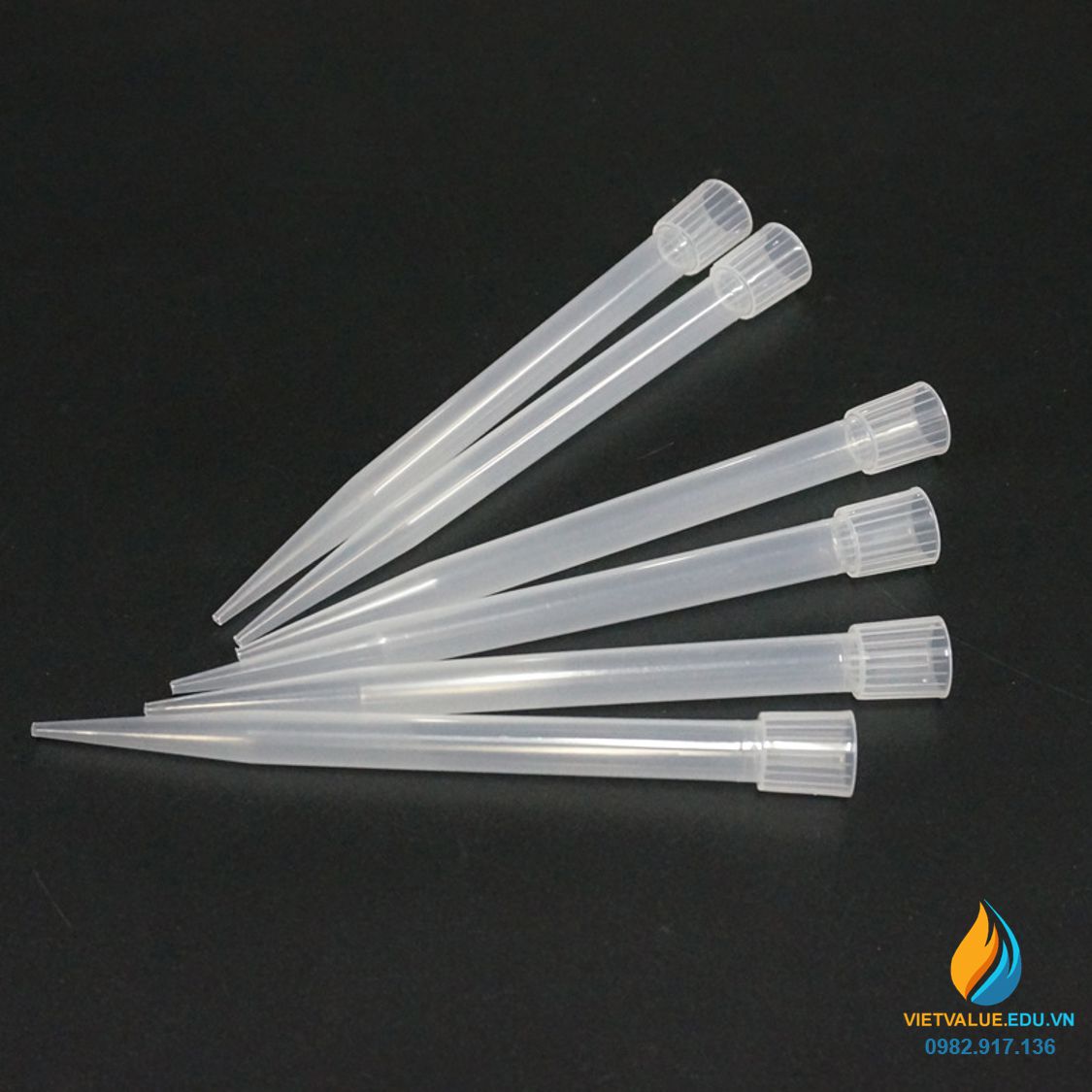 Túi 300 cái đầu Tip loại 5ml cho pipet hút, nhựa PP trong suốt