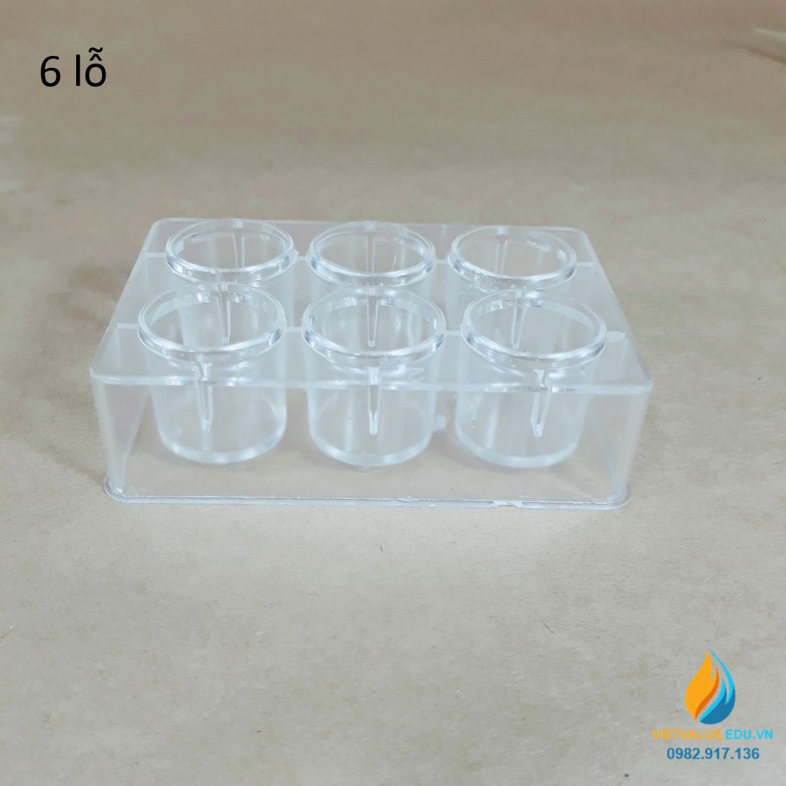 Giếng nuôi cấy vi sinh dùng 1 lần loại 6 lỗ cấy