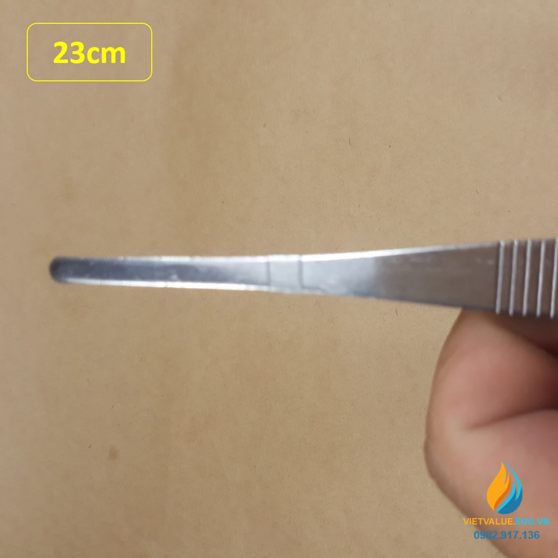 Nhíp gắp mẫu vật phòng thí nghiệm théo không gỉ, dài 20cm, bản to