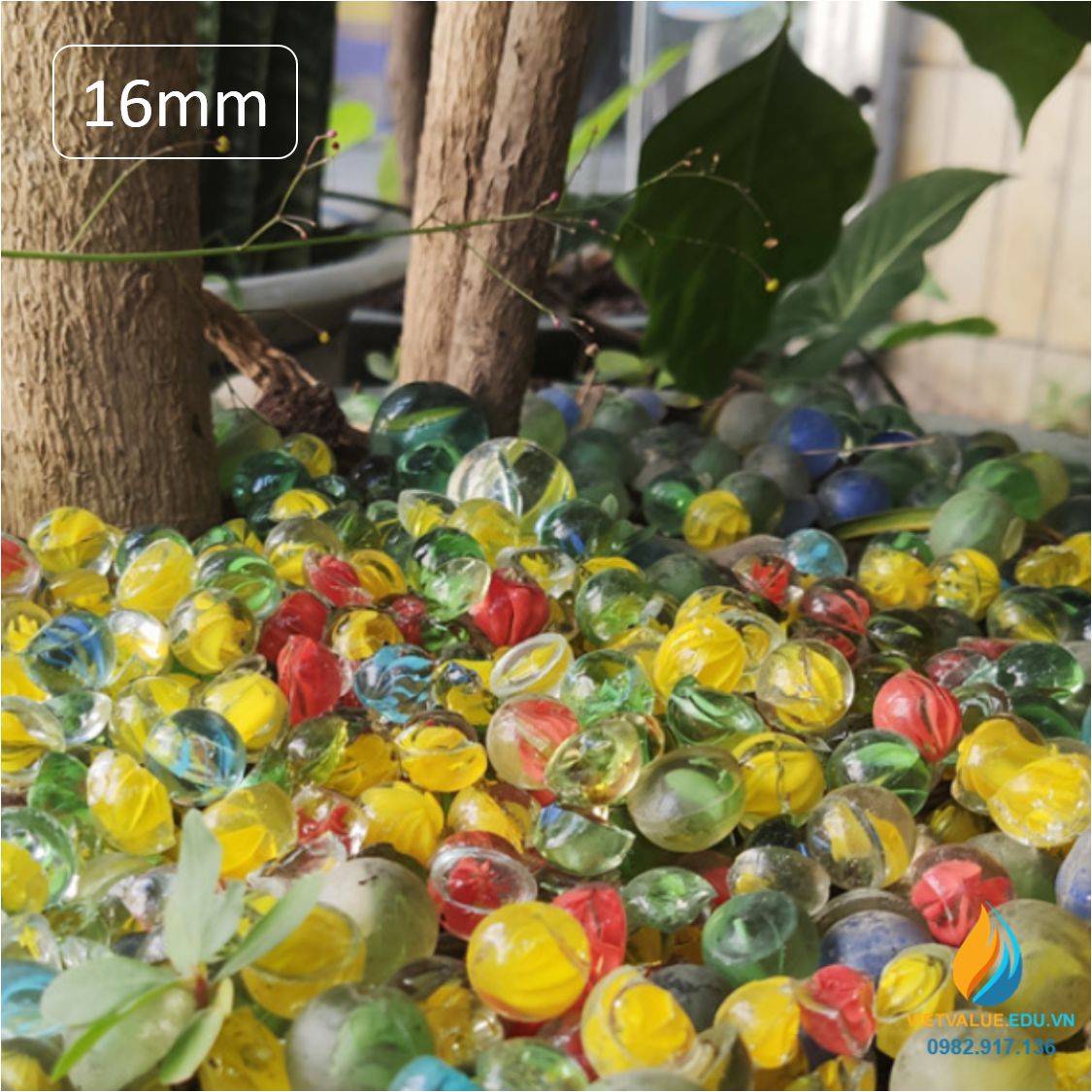 Viên bi thủy tinh đường kính 16mm, viên bi cho học sinh tiểu học thực hành ngoại khóa