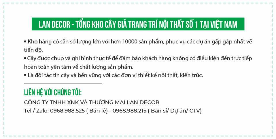 cay-canh-gia-trang-tri