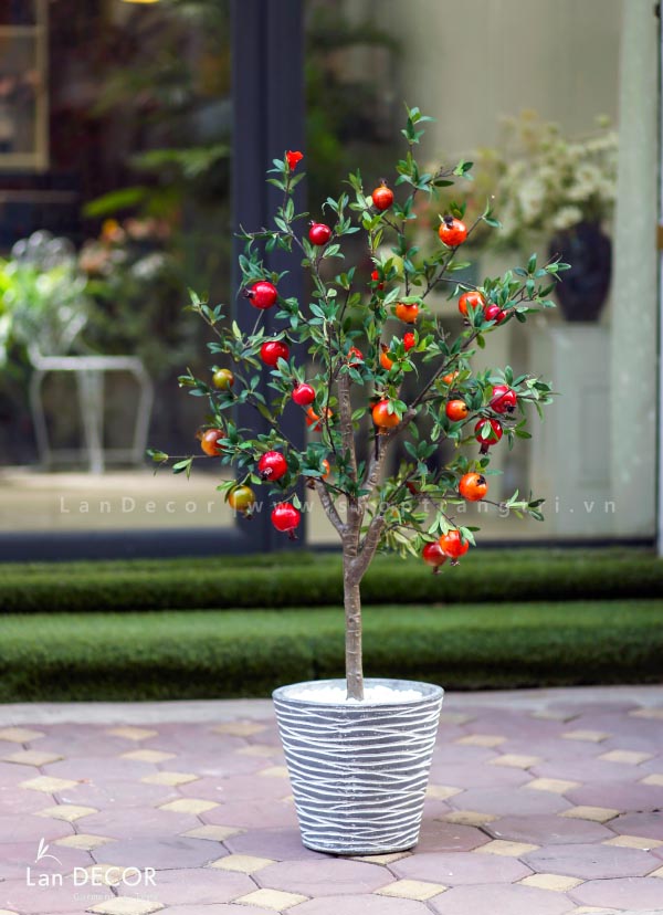 cay-luu-nho-landecor