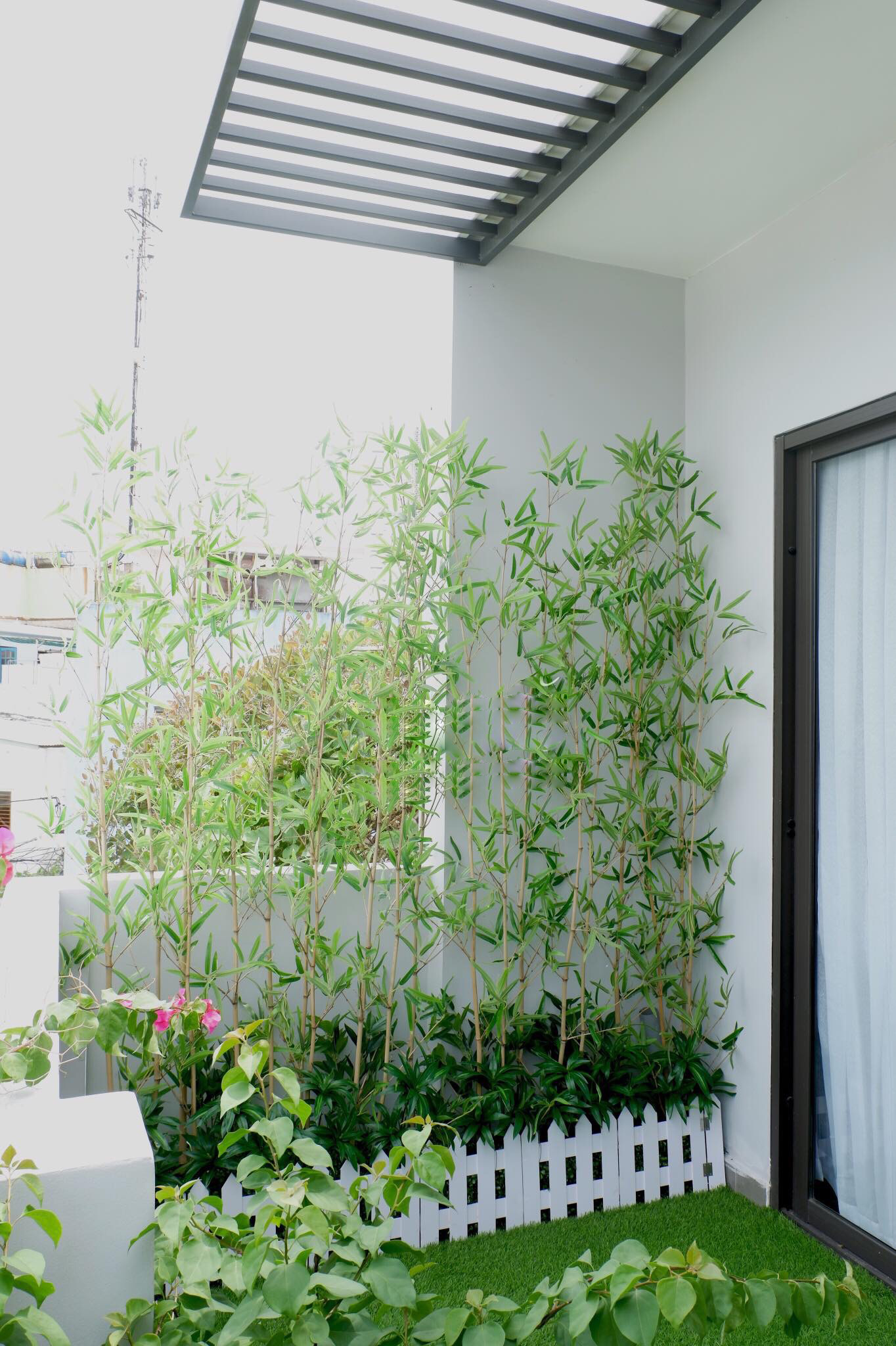 tường trúc đẹp độc đáo bắt mắt