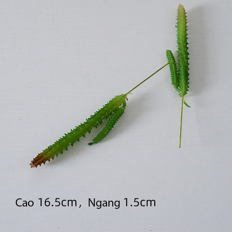 sen-da-gia-trang-tri-tieu-canh