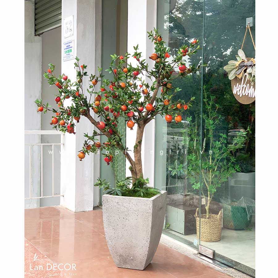 chau-cay-luu-landecor