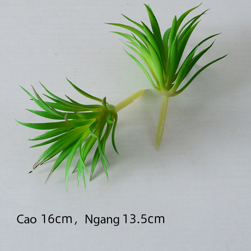 sen-da-gia-trang-tri-tieu-canh