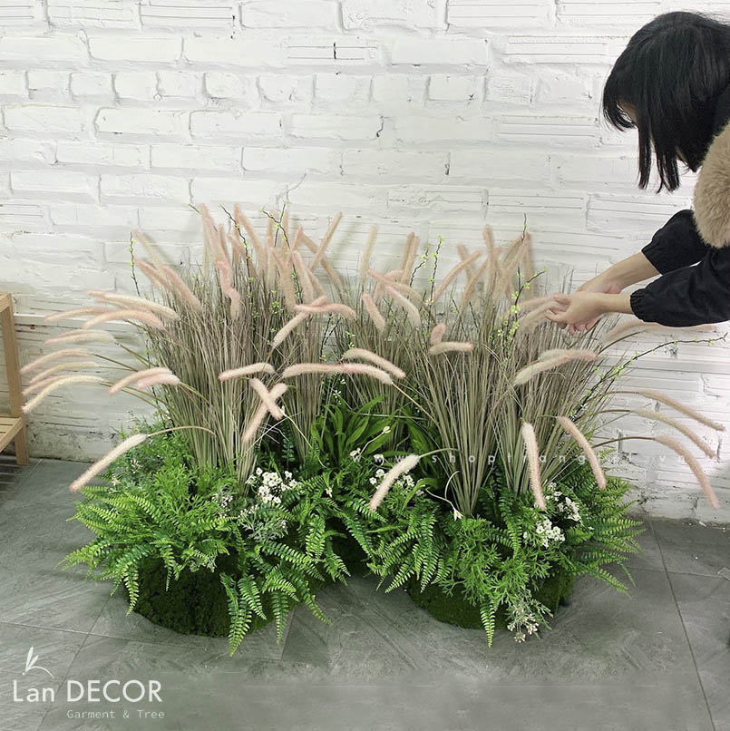 cay-co-duoi-chon-landecor