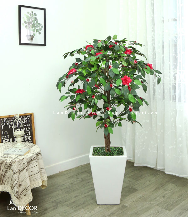 cay-hoa-do-quyen-do-landecor